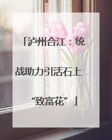 泸州合江：统战助力引活石上“致富花”